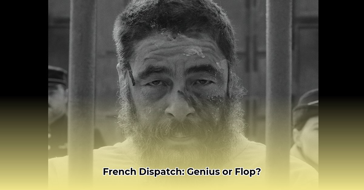 regisseur-van-the-french-dispatch